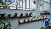 Casa Familiar com Piscina Privativa em Zimbros